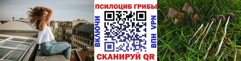 Псилоцибиновые грибы Magic Shrooms  цены   Учалы 